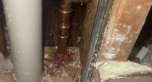 Burst Pipe In The Attic Here S What To
