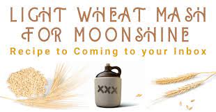 light wheat mash recipe moonshine how to