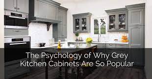 The gray cabinet paint color is versatile enough to mix and match classic and modern design elements. The Psychology Of Why Gray Kitchen Cabinets Are So Popular Home Remodeling Contractors Sebring Design Build