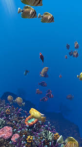 ocean aquarium live wallpaper free