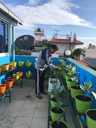Roof Top Farming Nepal Agro Live Pvt