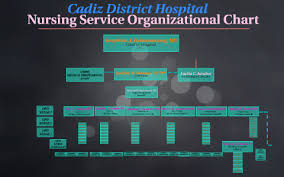 Nursing Service Organizational Chart By Jenny Roo On Prezi