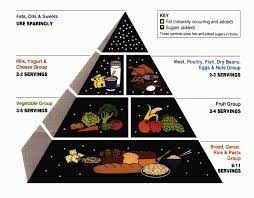 Usda Food Guide Pyramid Women Fitness
