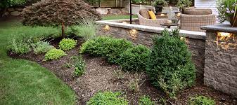 cedar mulch what you need to know