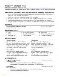 Is A Professional Resume Writer Worth It Resume Templates