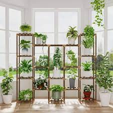 indoor plants decor ideas