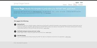 asp net mvc application with custom