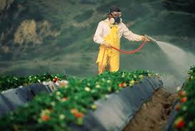 pesticides fertilizers in farm food