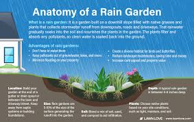 12 Benefits Of A Rain Garden Lawn