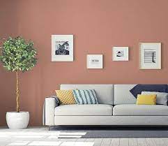Earth Tone Paint Colors Recommended By