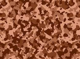 brown camouflage vinyl wrap