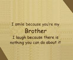 If you have a brother, you most likely have some vivid what brothers say to tease their sisters has nothing to do with what they really think of them. Silly Brother And Sister Quotes Quotesgram