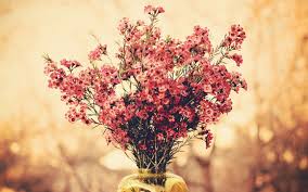 Image result for bouquet