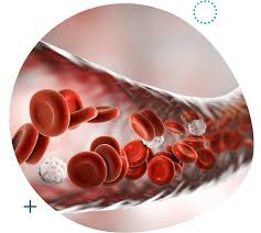 umbilical cord blood stem cells