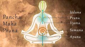 how prana works monad yoga