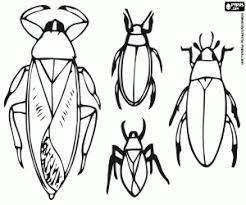 Insect make a great coloring subject. Insects Coloring Pages Printable Games