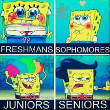 Image result for seniors and freshman