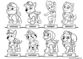 Send in our brave doggy soldiers, rubble, skye, marshall, chase, zuma, everest and rocky to save the day! Print Free Chase Paw Patrol List Coloring Pages Paw Patrol Coloring Library