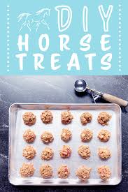baking simple horse treats the
