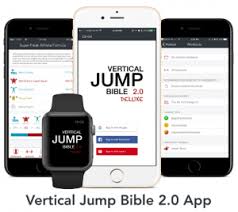 vertical jump program review top 3