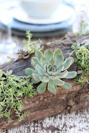Hannah shih of hanalulu co, a design company that styles parties and big events, shows us how. Diy Succulent Centerpiece Add Rustic Charm To An Outdoor Table Satori Design For Living