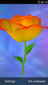 golden rose live wallpaper for android