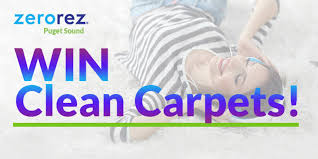 carpet cleaning by zerorez spirit 105 3