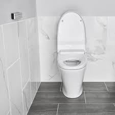 Shop for bidet toilet seats in toilet seats and lids. American Standard Advanced Clean 100 Spalet Elongated Toilet Seat Bidet Reviews Wayfair Ca
