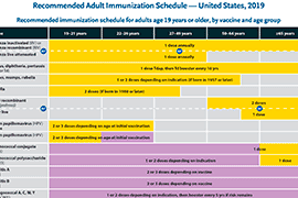 2019 U S Adult Immunization Schedule