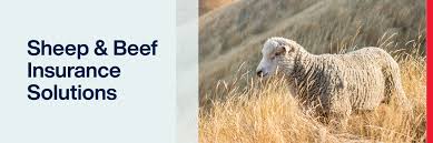 aon nz sheep and beef insurance