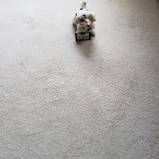 carpet cleaning company in olympia wa