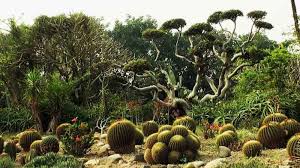 Sarkaria Cactus Garden Attractions In