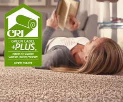 hypoallergenic flooring healthy home