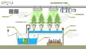 emble hydroponic system for weed