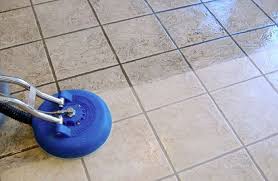 nelson carpet cleaning reviews
