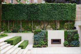 50 Unique Boundary Wall Design Ideas In