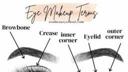 eye chart foundation notes teachmint