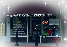 Check out our red bank nj selection for the very best in unique or custom, handmade pieces from our coins & money shops. Bark Avenue Puppies Home Facebook