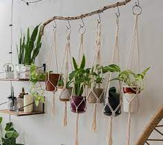 Diy Plant Stands And Wall Hangers Ted