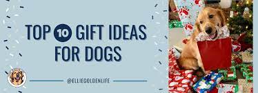 top 10 gift ideas for dogs gifts to