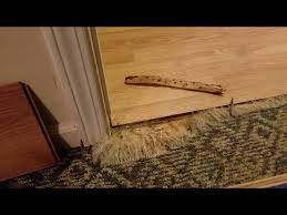 diy landlord damaged carpet repair in