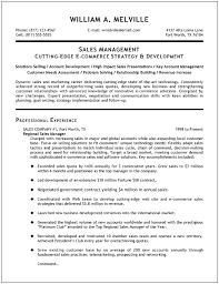 Resume For It Sales Manager Sales Manager Resume Sample