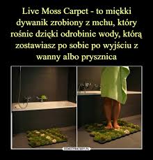 live moss carpet to miękki dywanik