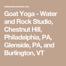 Goat Yoga Water And Rock Studio Chestnut Hill