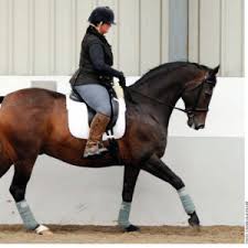 saddle fit and the heavier rider schleese