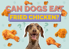 can dogs eat fried en safety