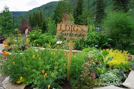 betty ford alpine gardens in vail