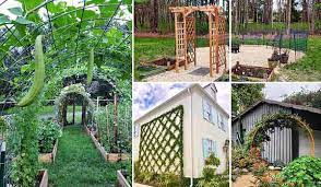 19 Best Garden Trellis Ideas And Designs