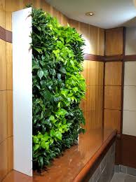 Living Walls Lyndale Plant Services