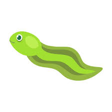 Tadpole Cartoon Images – Browse 1,104 Stock Photos, Vectors, and Video | Adobe Stock